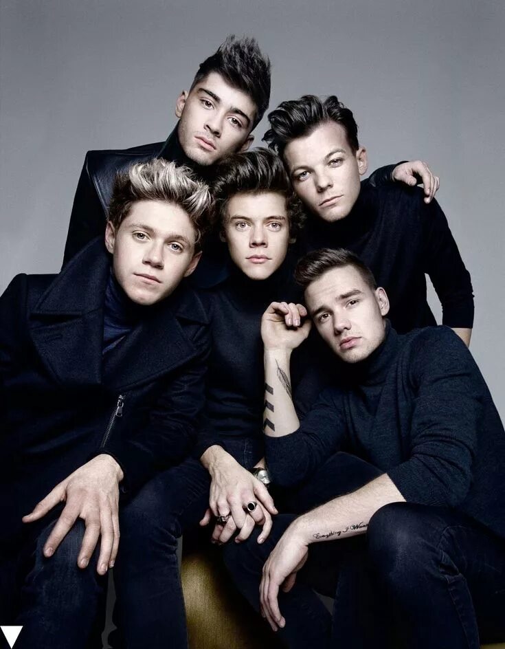 Ван дирекшн. One Direction. Ван директион группа. One Direction 2015. Бойз бэнд one Direction.