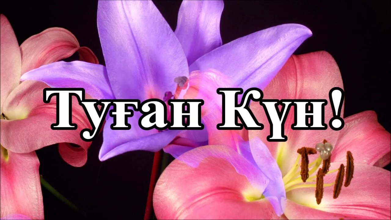 Туған кун картина. Туган кунинизбен. С днём рождения казакша. Туган кунге тилек