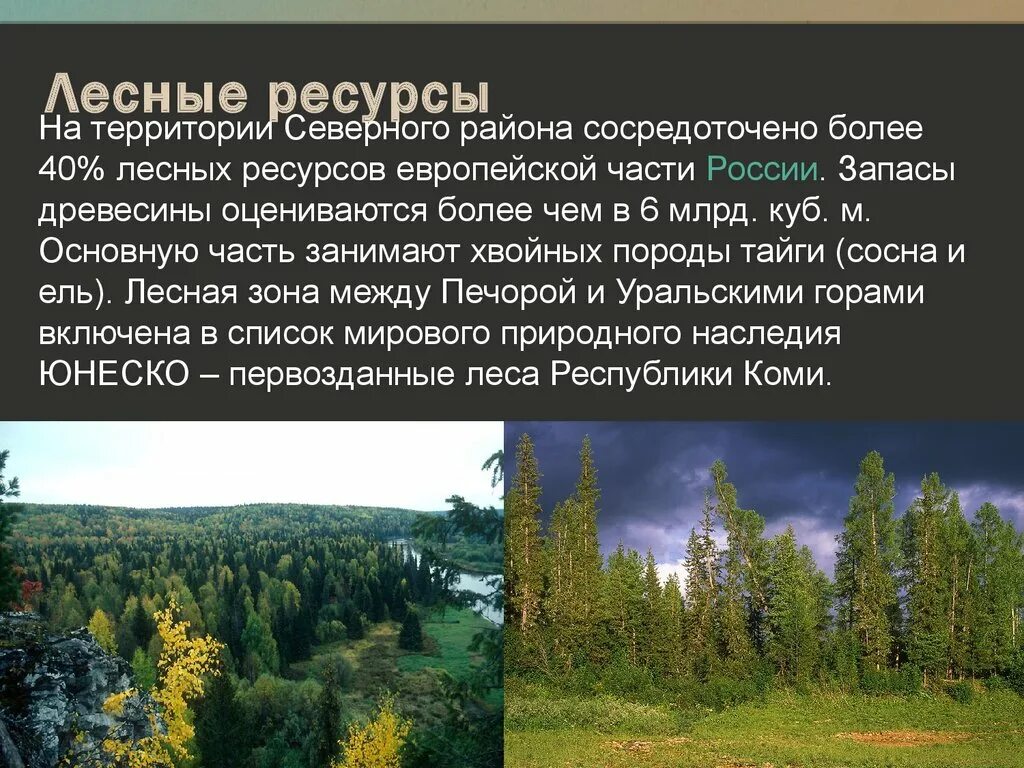 Какие богатства лесной зоны. 40% Лесных ресурсов европейского России. Лесные ресурсы центрального экономического района России. Лесные ресурсы европейской части России. Лесные ресурсы европейского севера.