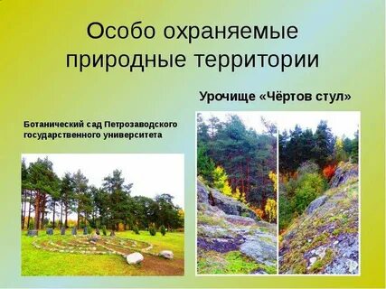Ботанический сад особо охраняемая природная территория
