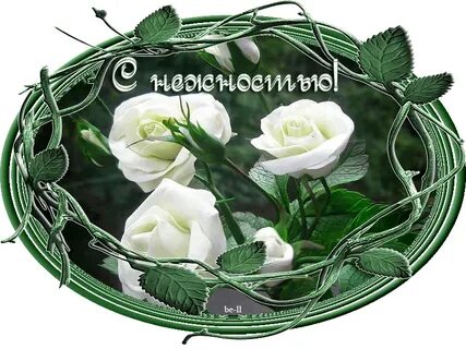 Благодарю тебя за искреннее слово