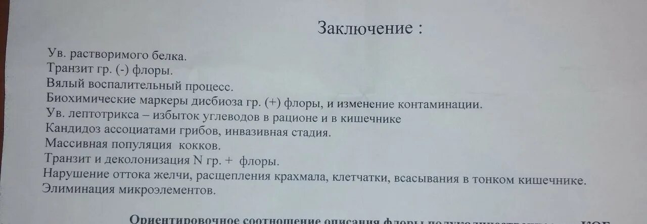 Анализ желчи заключение. Копрограмма заключение. Застой желчи УЗИ протокол. Застой желчи по УЗИ заключение.