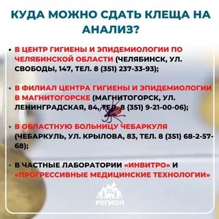 Куда нести клеща на анализ