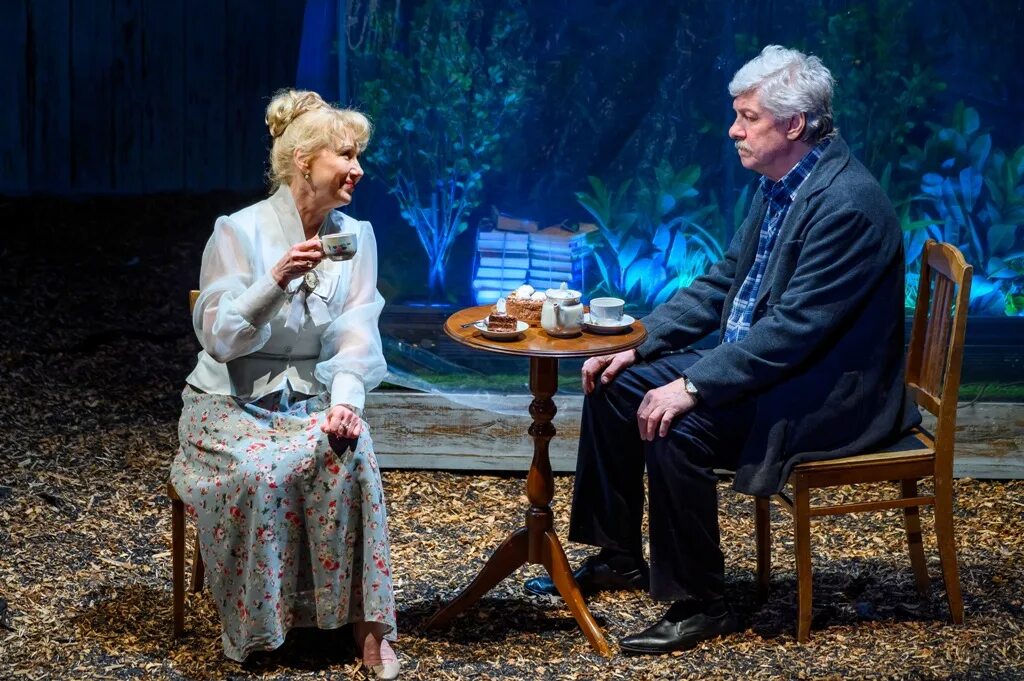 Евгений стеблов земля эльзы. Земля эльзы содержание. Земля эльзы фильм вениамин смехов. Земля эльзы спектакль ленсовета. Ирина печерникова земля эльзы.