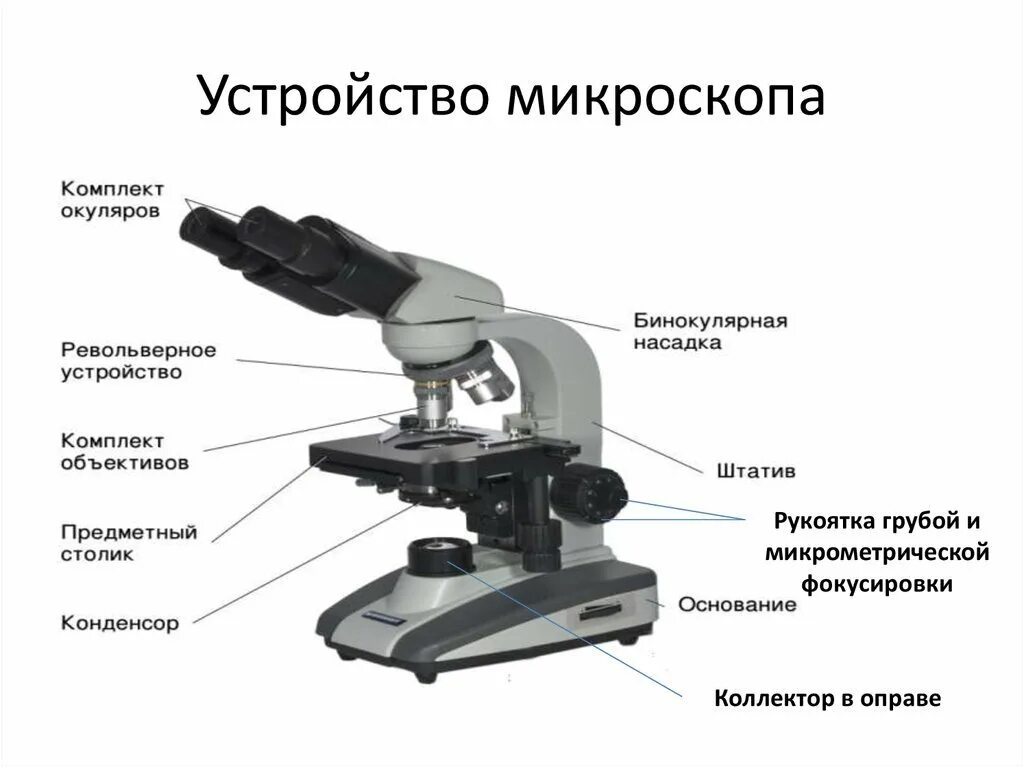 Какую функцию выполняет основание микроскопа при работе. Строение микроскопа микроскоп световой микроскопа. Строение микроскопа Микмед 5. Строение светового микроскопа Микромед 5. Схема строения микроскопа.