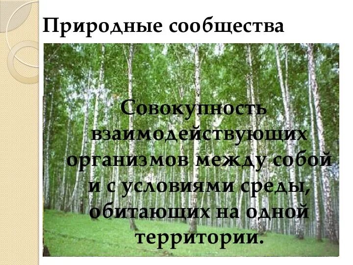 Видеоурок природные сообщества 5 класс биология