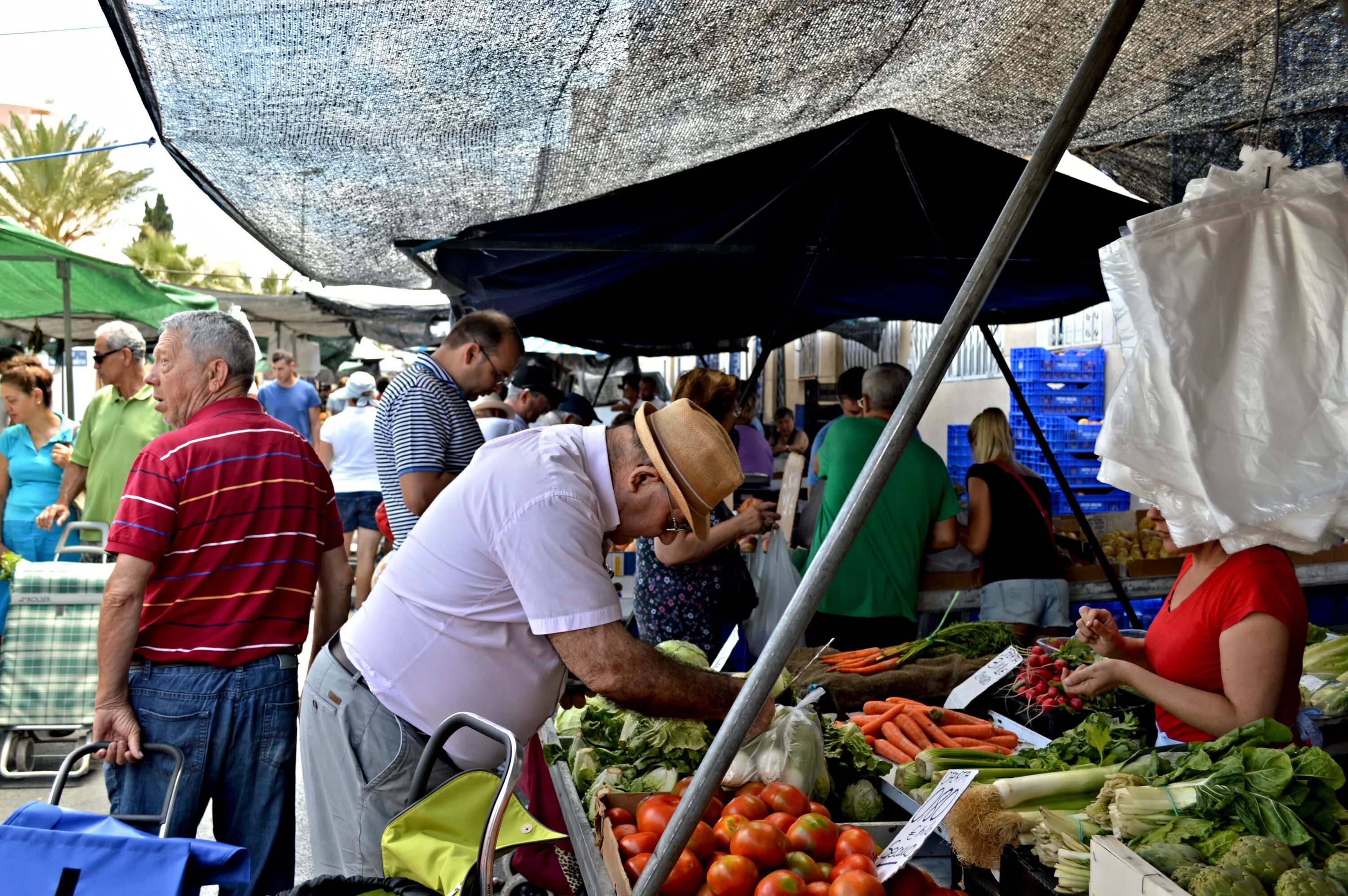 Публичный рынок. Торревьеха рынок. Продуктовый рынок на Ибице. Рынок новый городок.