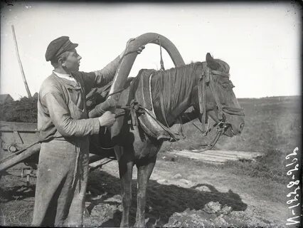 Исторический продолжить