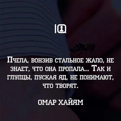 Так хочется жить текст. Высоцкий в. Ноты с текстом. Так хочется жить. Я не любил ее.
