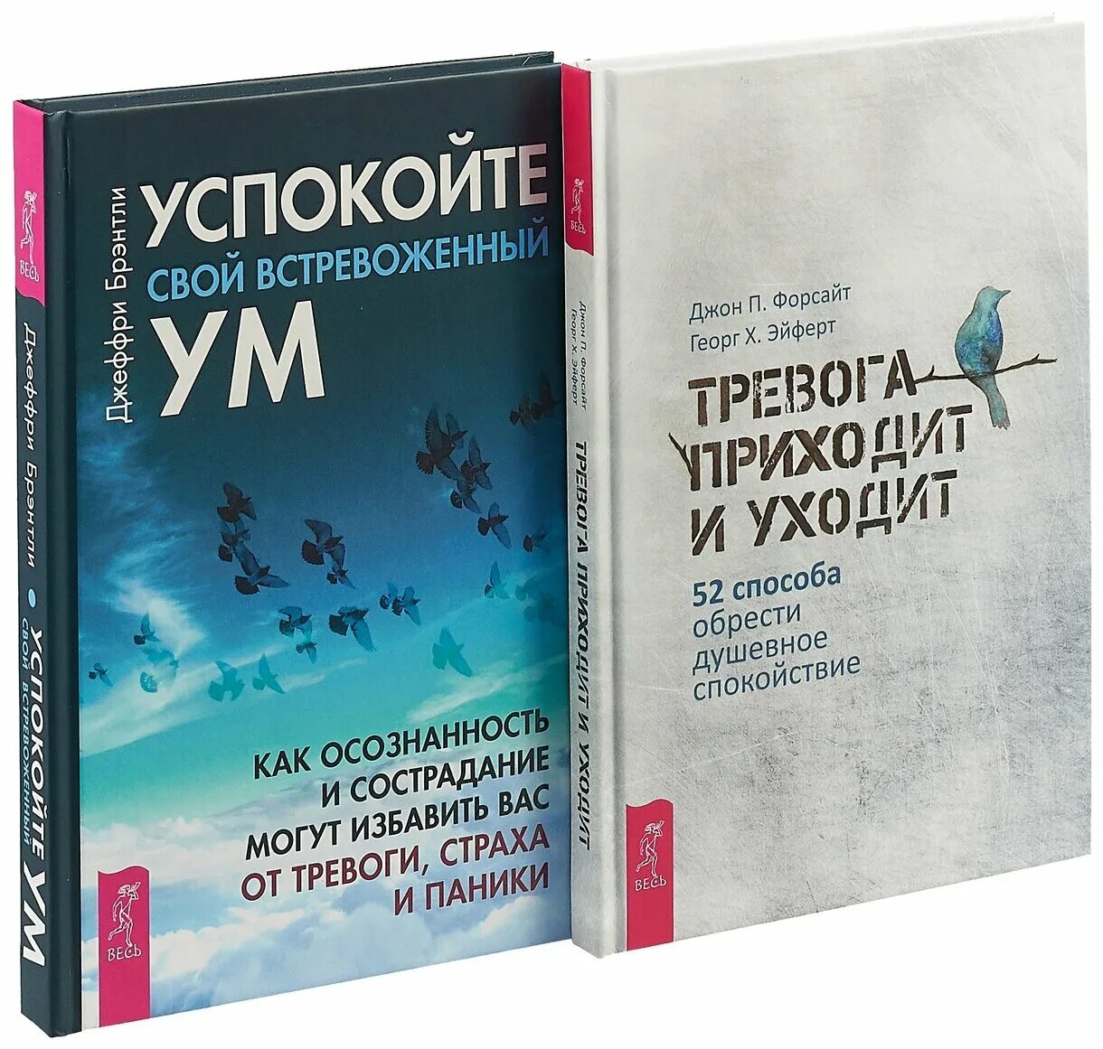 Книга успокаивает. Управление стрессом книга. Книга успокой свой ум. Книги про тревогу