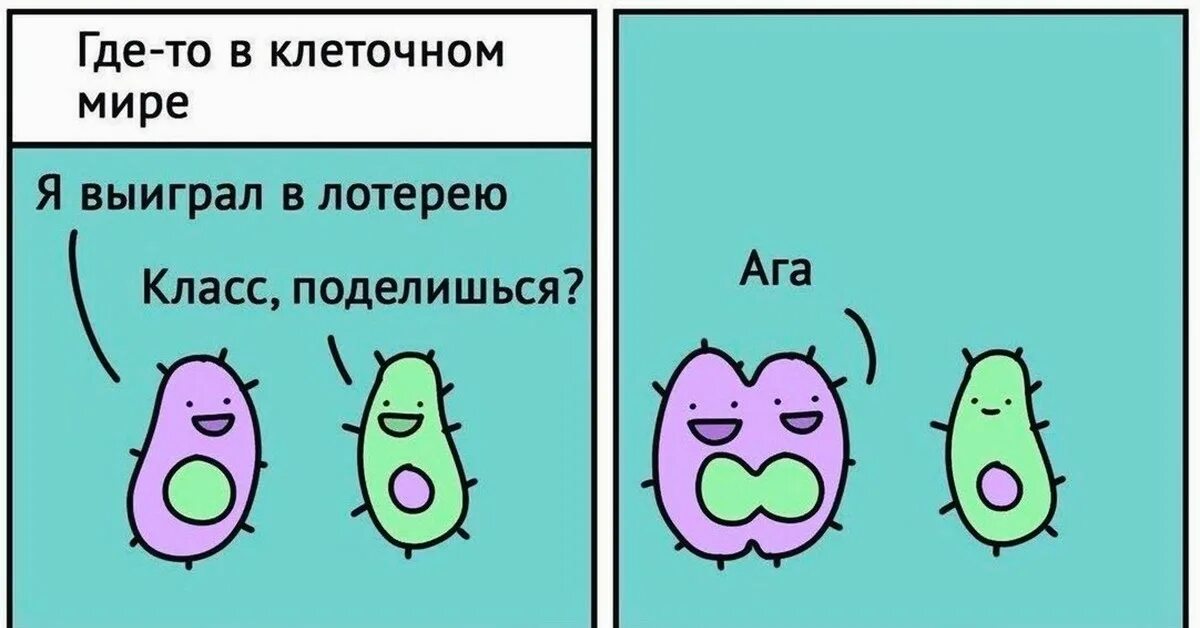Девайс - DRIVE2