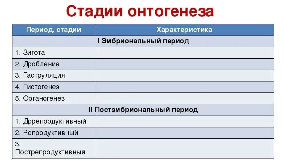 Онтогенез 2 стадия. Таблица этапы и особенности онтогенеза. Стадии первого этапа онтогенеза. Последовательность этапов оогенеза. Онтогенез этапы развития.