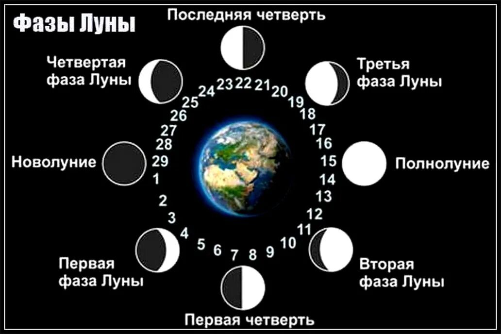 Что значит последняя четверть луны. Фазы луны. фазы луны фото. фазы луны фазы луны. фазы луны схема.
