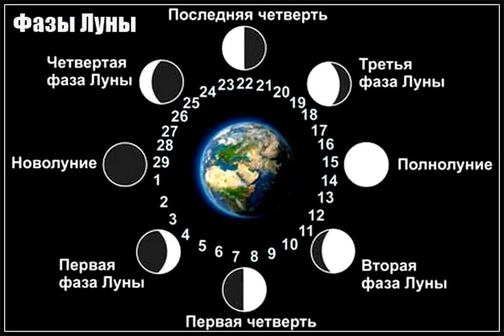 Новолуние и полнолуние. Фазы Луны. Первая четверть Луны. Четыре фазы Луны. Влияние фаз Луны.