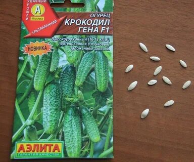 Огурцы сорта крокодил