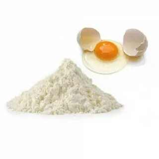 Яичный альбумин какой белок