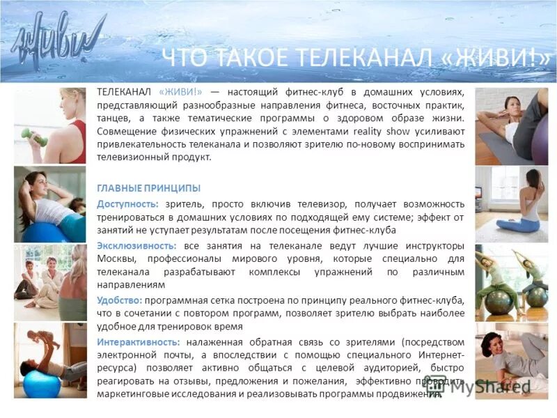 канал живи степка живи на дзене