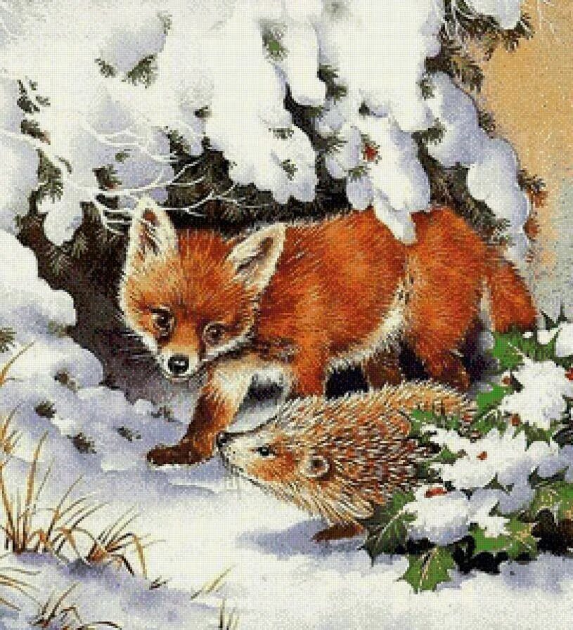 Лиса с лисятами. Ежик и лисенок. Враги лисы. Лиса и ежик. Лиса и ежик.