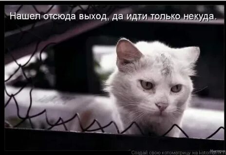 Мне некуда больше спешить мне некого