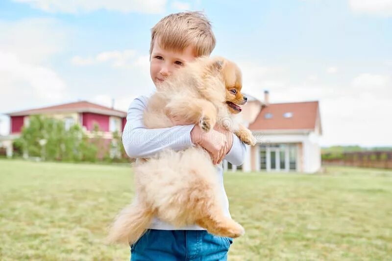 Мальчик держит собаку на руках. Мальчик держит щенка. Фото мальчик держит собаку.