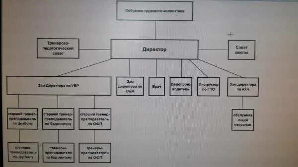 Заместитель директора по спортивной