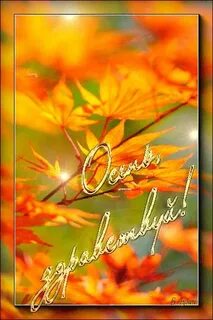Отк с осенью