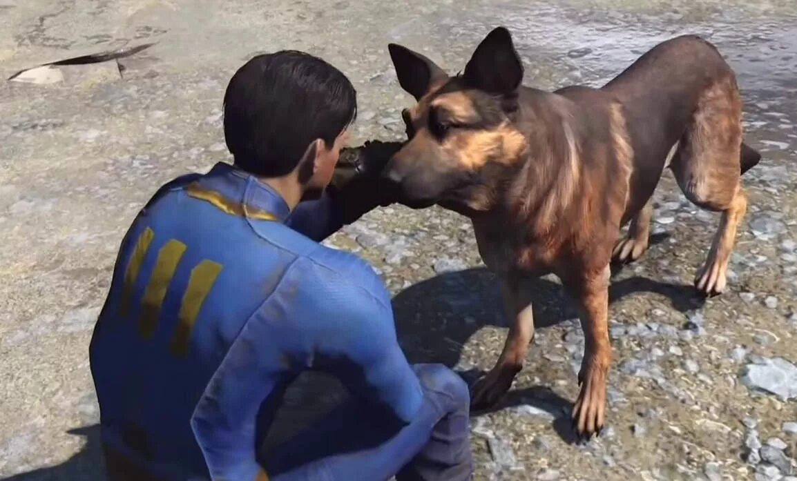 My dog мод. Псина fallout 4. fallout 4 dogmeat. фоллаут 4 пес.