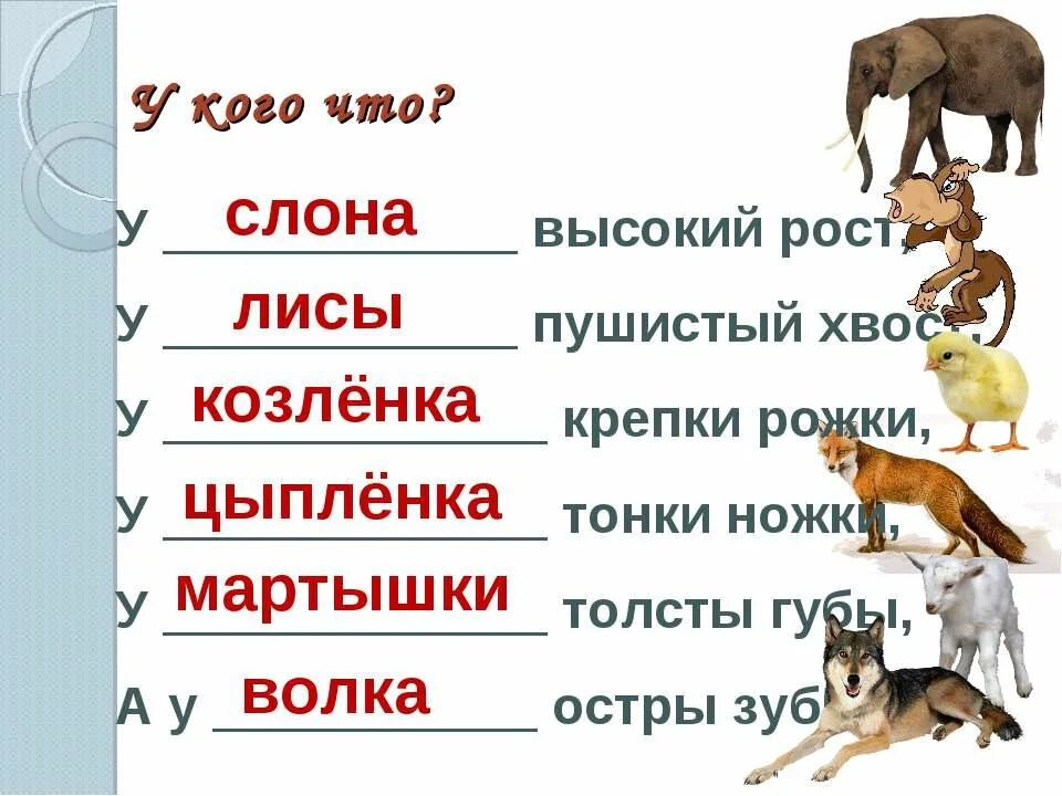 Как понять слово рост. Сам придумай у слона высокий рост у лисы пушистый хвост. У слона высокий рост у лисы. У высокий рост у пушистый хвост. Бродский у слона высокий рост.