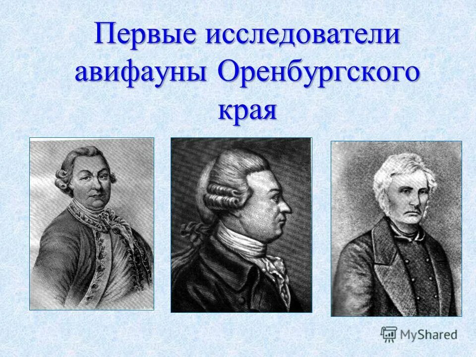 первые исследователи света. физик-экспериментатор роберт вуд. исследователи оренбургского края. первые исследователи света. америго веспуччи корабли экспедиции.