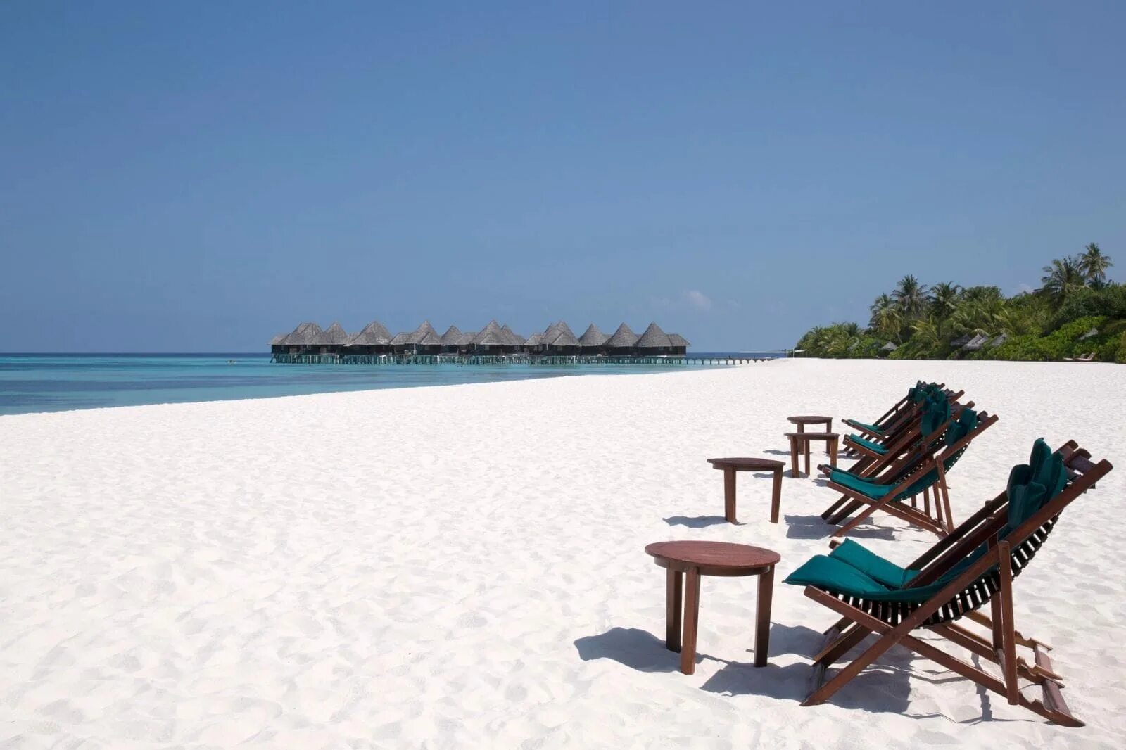 Coco мальдивы. Coco palm dhuni kolhu. coco palm dhuni kolhu maldives 5. coco palm dhuni kolhu 4 баа атолл. coco palm dhuni kolhu beach villa.