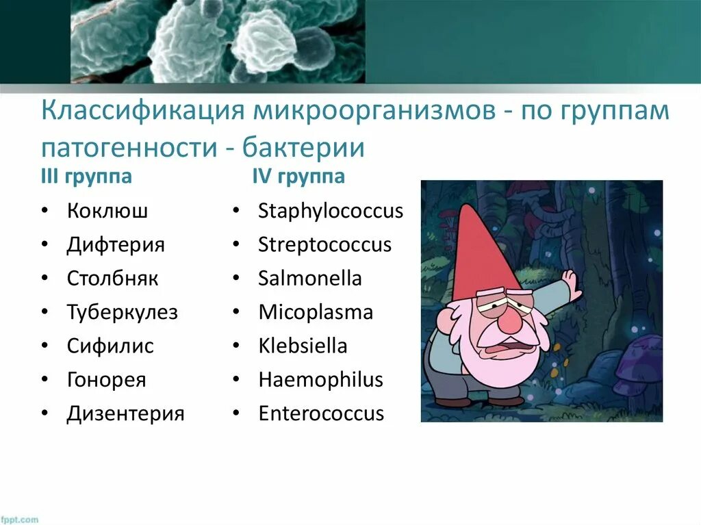 Классификация патогенности микроорганизмов. Классификация патогенност. Группы патогенности по классификации. Степени патогенности микроорганизмов классификация.