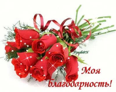 От души хочу сказать спасибо