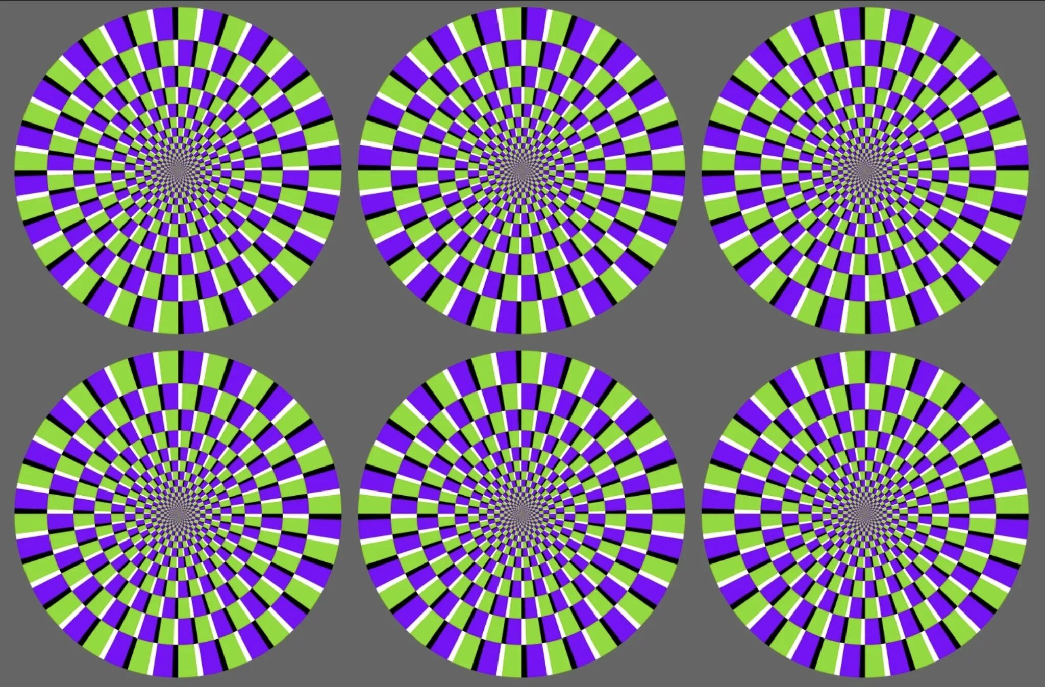 Обмануть зрение. Круги Акиоши Китаока. Акиоши Китаока иллюзия. Иллюзия движения. Визуальные иллюзии.