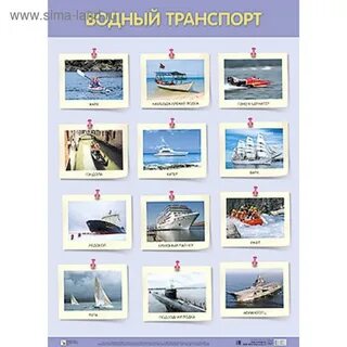 Виды большого водного транспорта