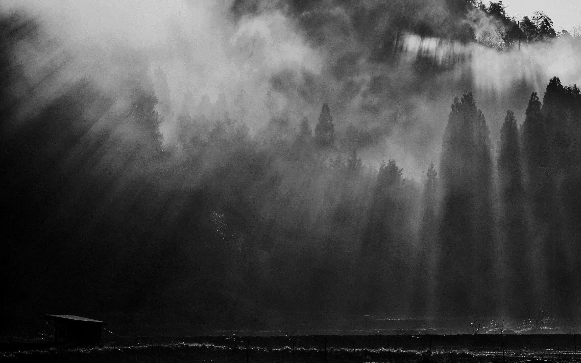 Серый туман. Туманное и темное. Туманное и темное. Темная природа. Туман ночью.