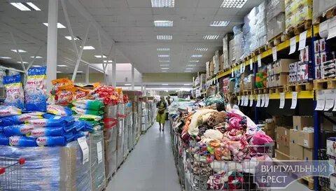 Сеть техники куйтун
