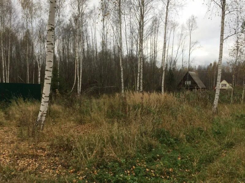 Купить участок в шаховской. СНТ манеж. СНТ Раменье Раменский район. СНТ Барбарис. Деревня высокое Шаховской район.