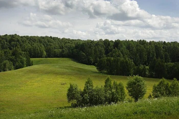 Успенское участки купить. Вериговщина Тосненский район. Успенское Тосненский район. Успенское коттеджный поселок в шапках. Купить участок на Холме.