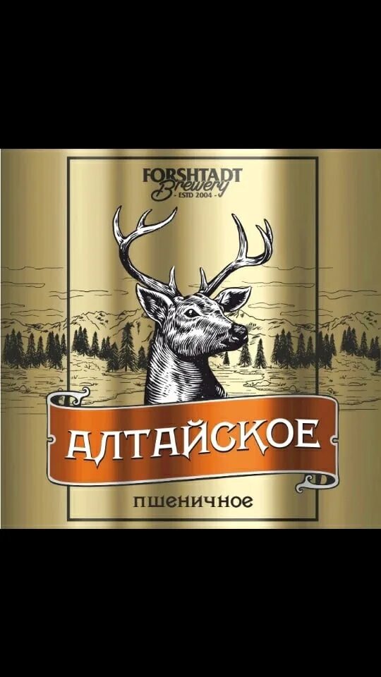 Алтайское пшеничное. Пшеничная Алтайская. Пиво forshtadt. Алтайская пивоварня. Пивоварни Алтая.