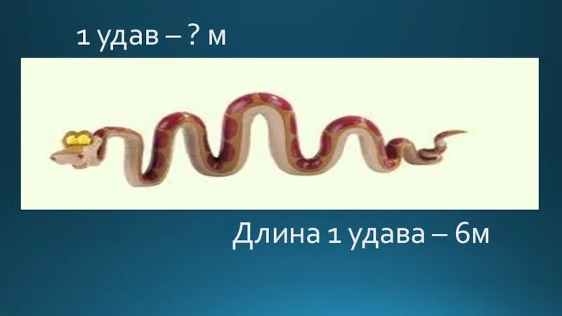 Длина удава. Удав в длину рисунок. Какой длины удав. Удав длина максимальная. Ресурс удава