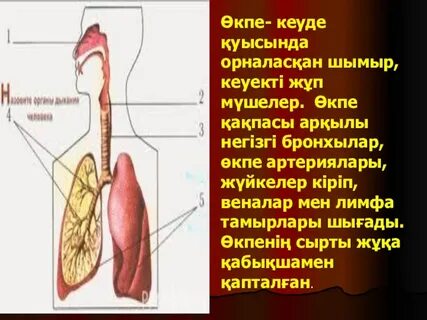Анальды құйрықты эро-косплей