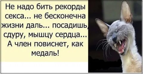 Людей надо бить