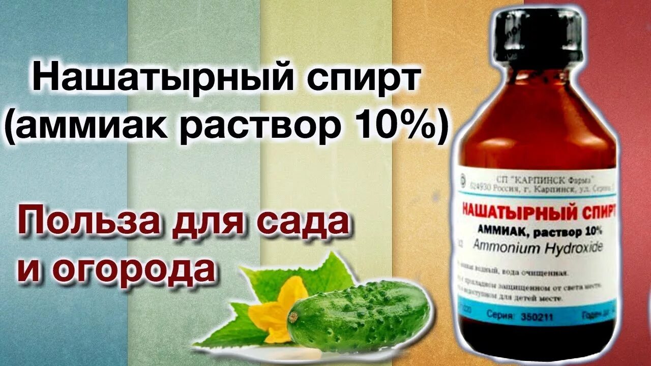 Аммиачный раствор для сада.