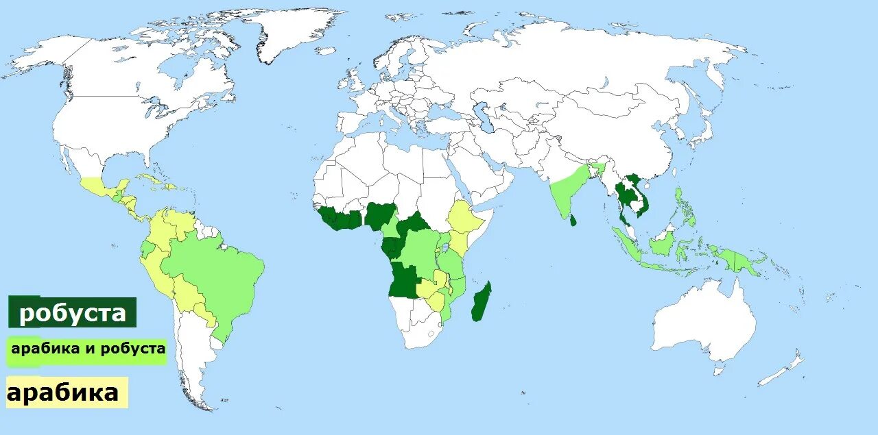 Карта произрастания кофе в мире. Ареал распространения кофе. Где растет кофе карта.