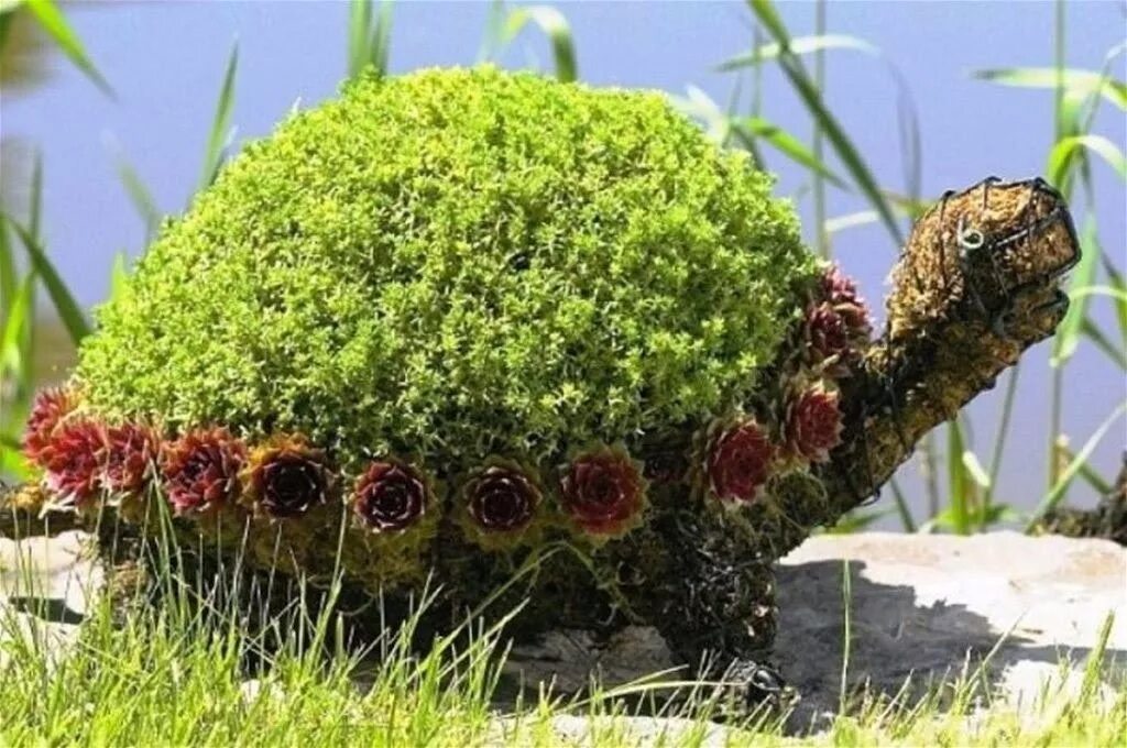 Некоторые ежики являются кустами все кусты любят