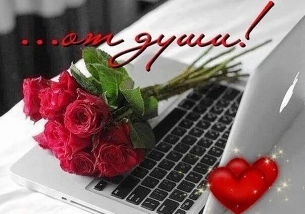 Спасибо за теплоту. Спасибо за теплоту души. спасибо вам за теплоту вашей души. админ цветы. спасибо за тепло общения.