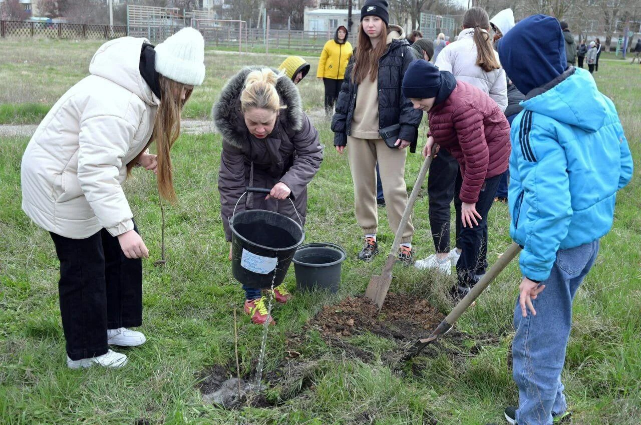 Сад памяти школа. Сад памяти школа. Севастополь сад памяти. Сад памяти муравленко. Ано сад памяти.