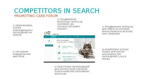 Search promo