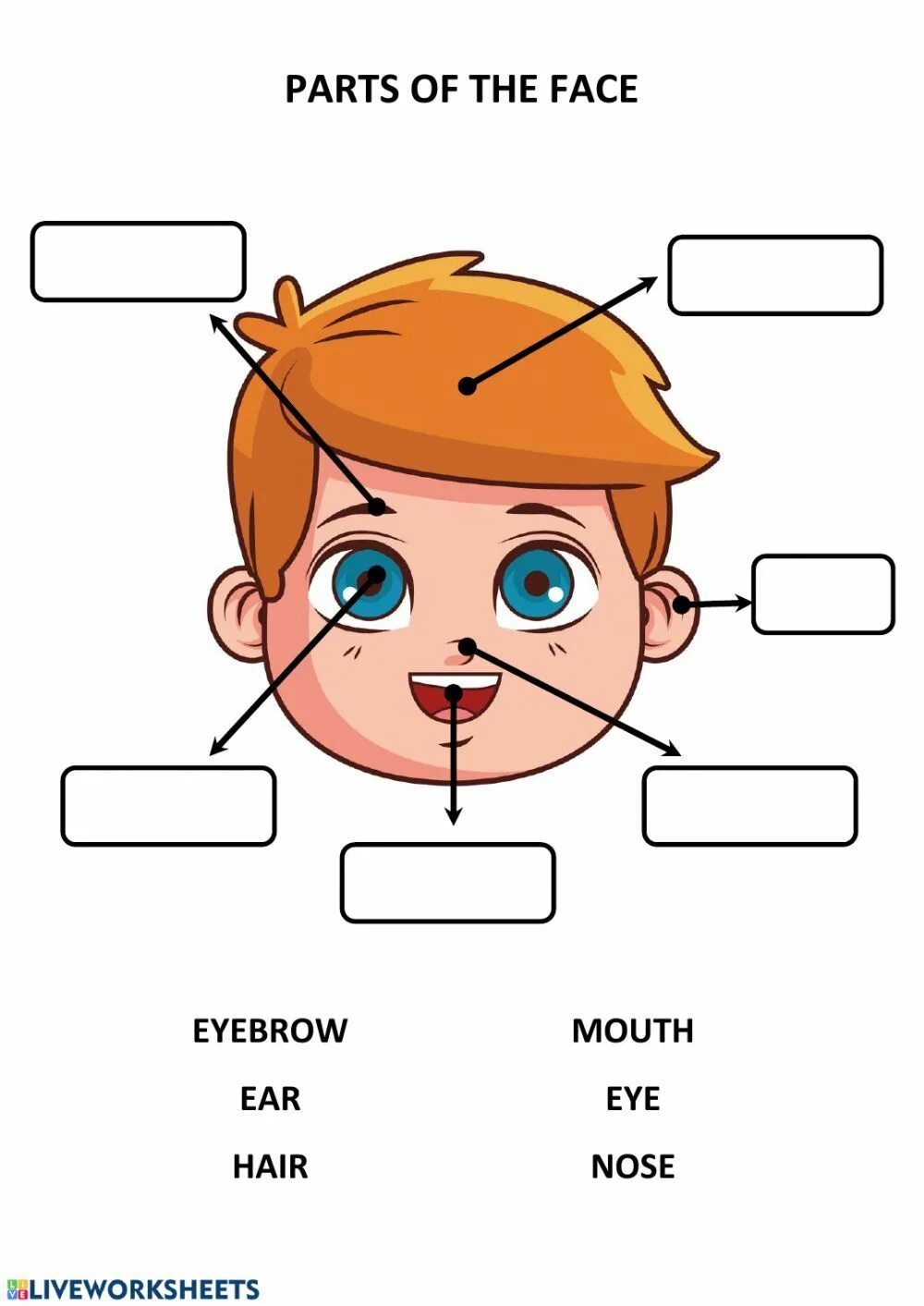 The face us 2. Части лица на английском для детей. Face для детей на английском. Карточки с изображением частей лица. Части лица карточки для детей.