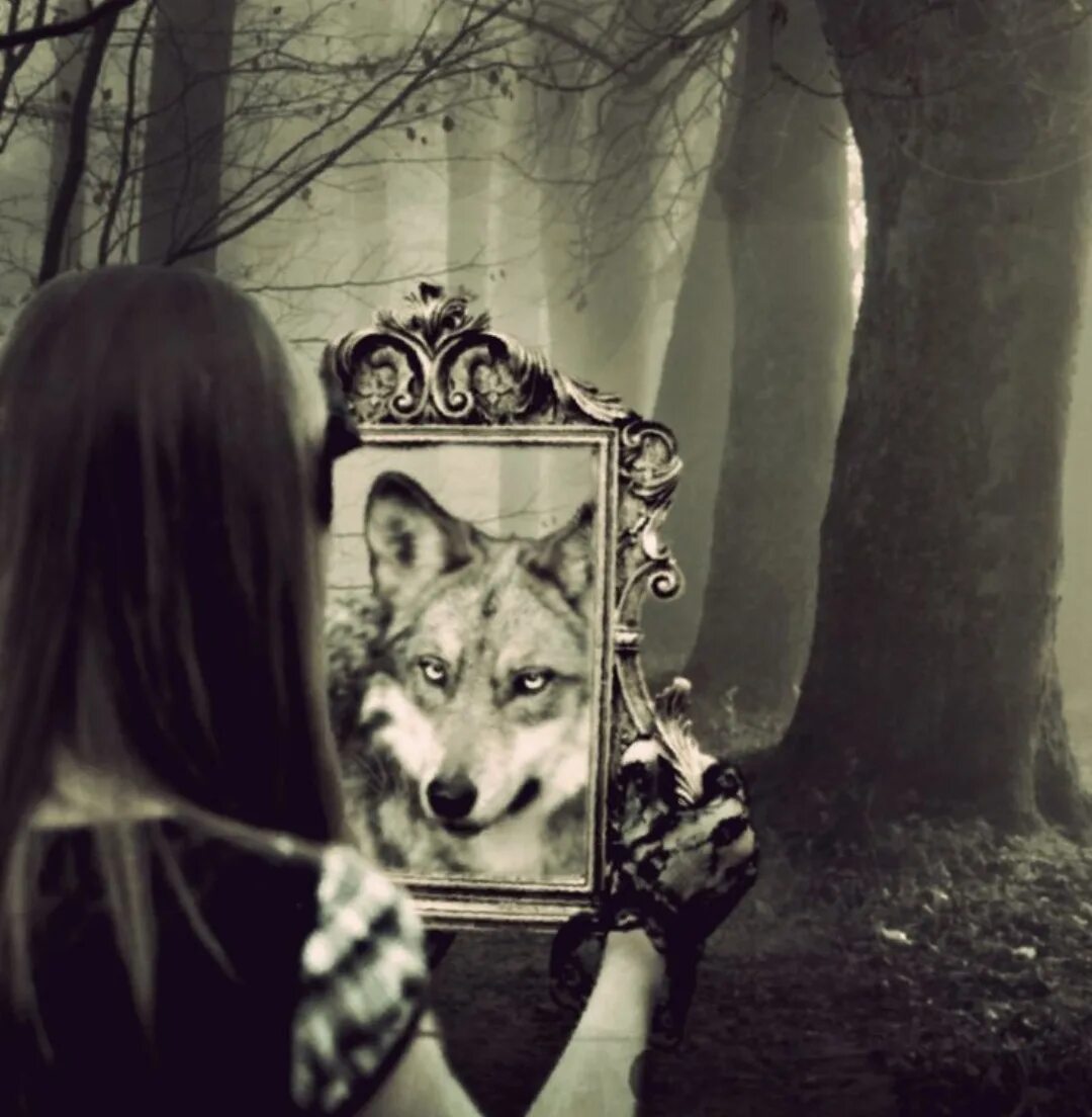 Она видела волка. Девушка с волком. Волчица и девушка. Волк в зеркале отражение. Красивая девушка с волком.